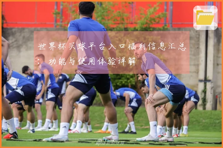 世界杯买球平台入口福利信息汇总：功能与使用体验详解