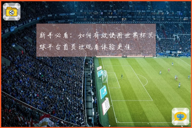 新手必看：如何有效使用世界杯买球平台首页让观看体验更佳