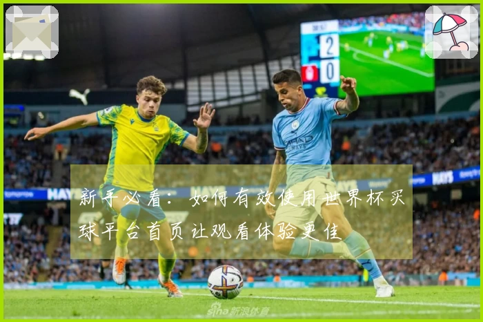 新手必看：如何有效使用世界杯买球平台首页让观看体验更佳