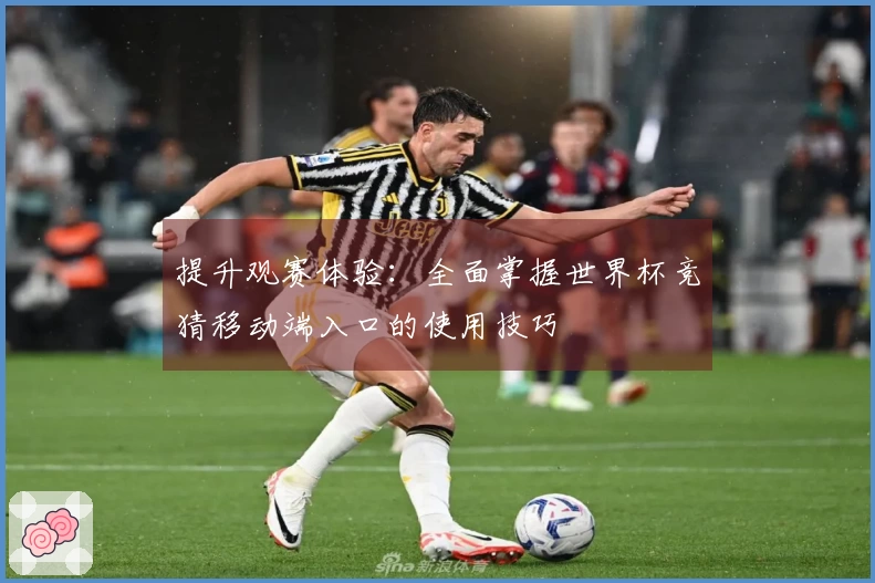 提升观赛体验：全面掌握世界杯竞猜移动端入口的使用技巧