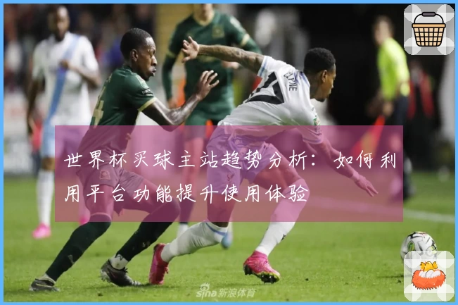 世界杯买球主站趋势分析：如何利用平台功能提升使用体验