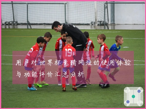 用户对世界杯竞猜网址的使用体验与功能评价汇总分析