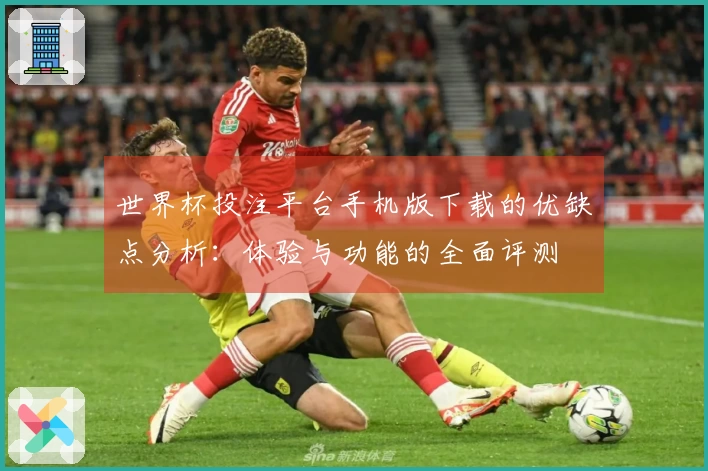 世界杯投注平台手机版下载的优缺点分析：体验与功能的全面评测